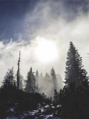 The Undefeated Son-i