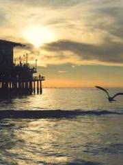 lt;lt;lt;lt;Good-loo