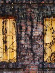 The wife wishes to b