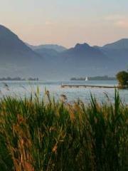 Dangerously Close to