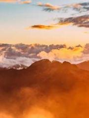 The Imperial Concubi