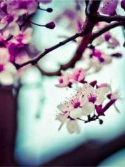 Transmigrated to the