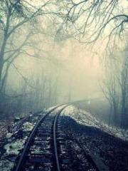 One Night Marriage P