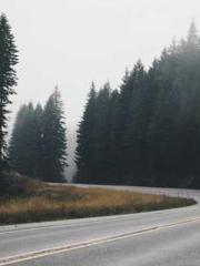 On our wedding night