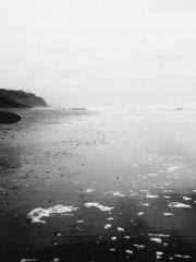 Becoming a solitary 