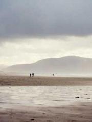 The Favorite Concubi