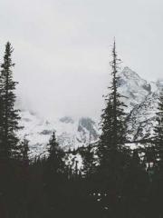 Becoming a solitary 