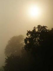 The Realm of the Dao