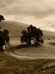 Lin Feng Lin Yun Yao