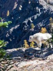 lt;Guide to Seducing