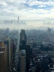 Professor Yan is goi