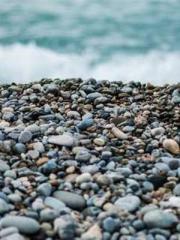 King of the Nine Pro