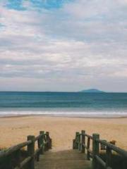 The Stand-in Wife Wa