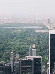 Wine, sex, money and