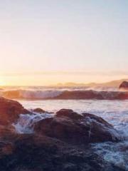 Rebirth of the Urban